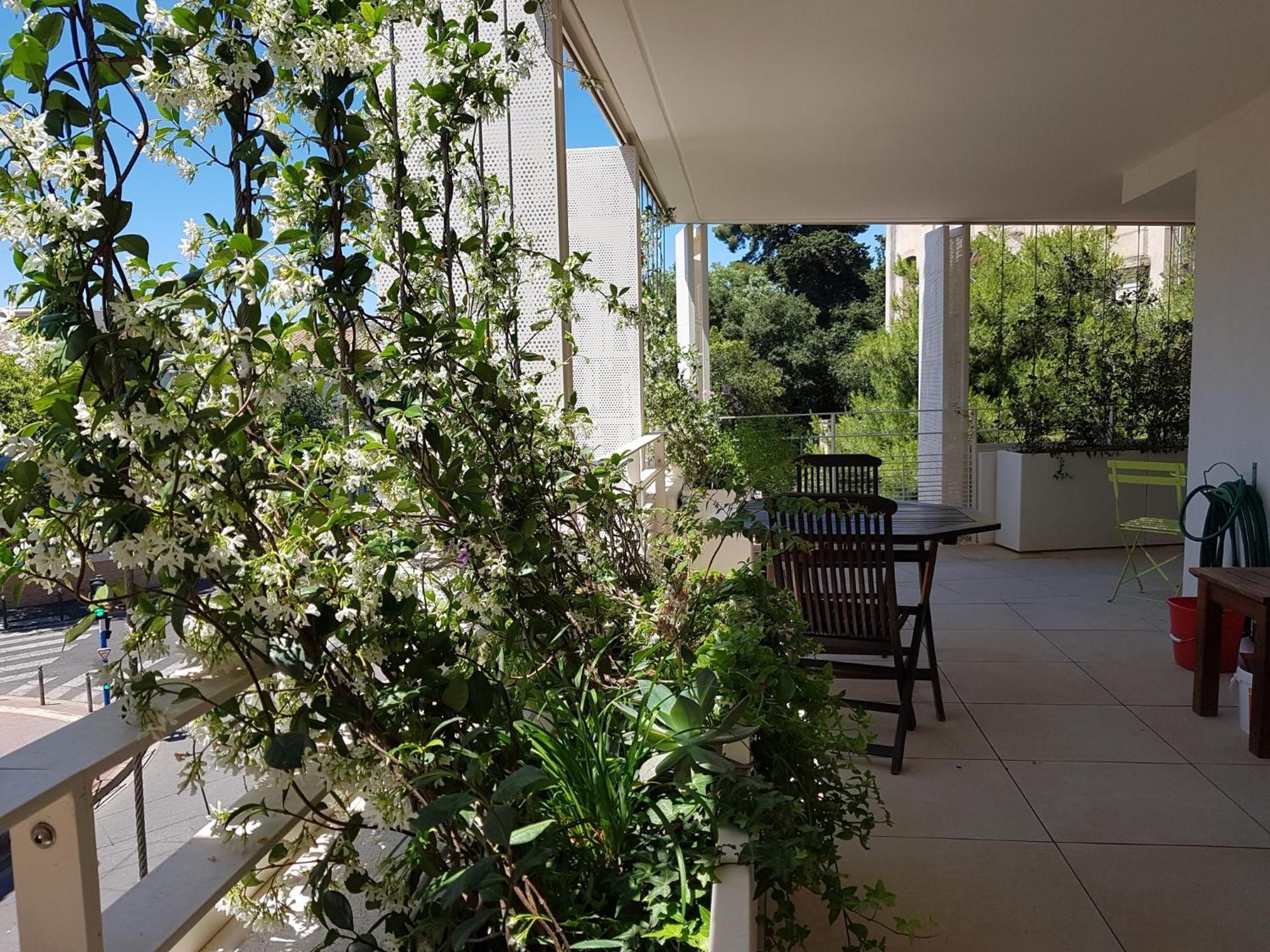 Appartement Centre Ville Beaux Arts 2 Personnes Calme Et Confort Montpellier Bagian luar foto